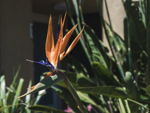 Russell House - Broome Tourism 2