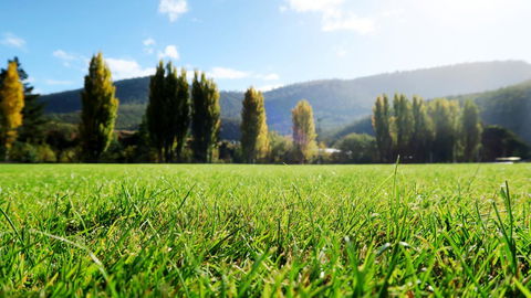 New Norfolk Junction Motel - Broome Tourism 16