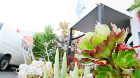 New Norfolk Junction Motel - Broome Tourism 32