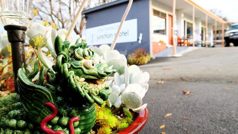 New Norfolk Junction Motel - Broome Tourism 29