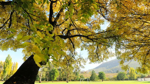 New Norfolk Junction Motel - Broome Tourism 17