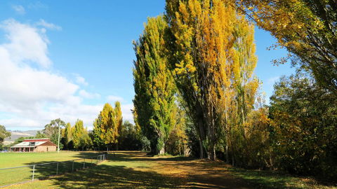 New Norfolk Junction Motel - Broome Tourism 15