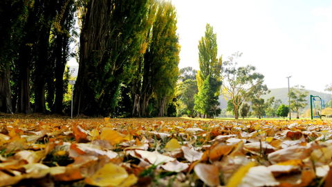 New Norfolk Junction Motel - Broome Tourism 19