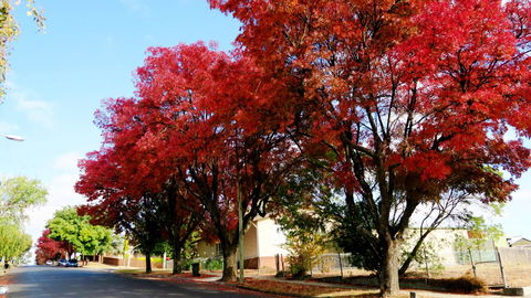 New Norfolk Junction Motel - Broome Tourism 22