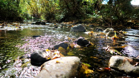 New Norfolk Junction Motel - Broome Tourism 20