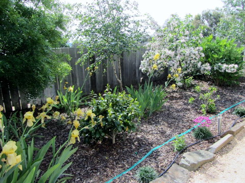 Elm Trees Accommodation @ Ross - Broome Tourism 6