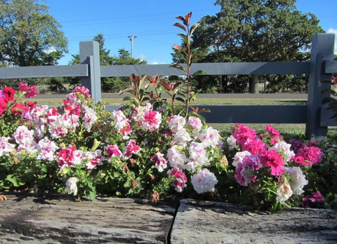 Elm Trees Accommodation @ Ross - Broome Tourism 25