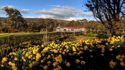 Mountain Blue Guest House - Broome Tourism 3