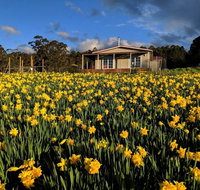 Mountain Blue Guest House - Broome Tourism
