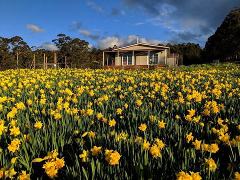 Mountain Blue Guest House - Broome Tourism 0