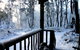 Cradle Mountain Love Shack - thumb 8