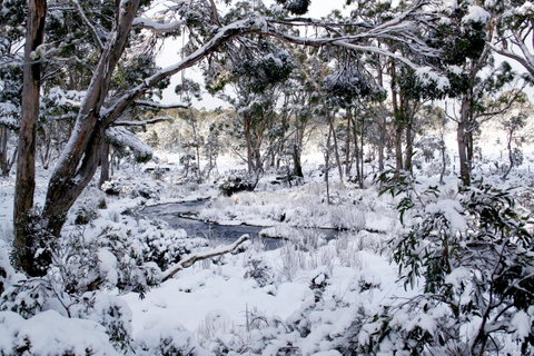 Cradle Mountain Love Shack - Broome Tourism 11