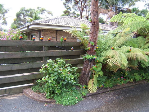 Ocean Drive Apartments - Broome Tourism 3