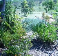 Old Miners' Cottages Bed and Breakfast - Broome Tourism