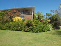 Pacific Drive 89