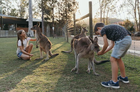 Paradise Country Farmstay - Broome Tourism 1