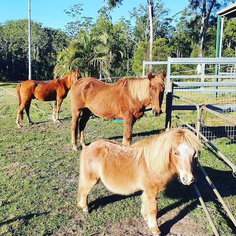 Paskins Farm - Broome Tourism 0