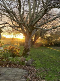 Peg Cottage