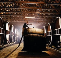 Pieter van Gent Winery  Vineyard - Broome Tourism