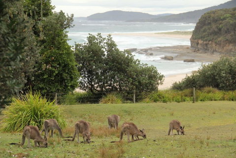 Pretty Beach Cabins - Broome Tourism 3