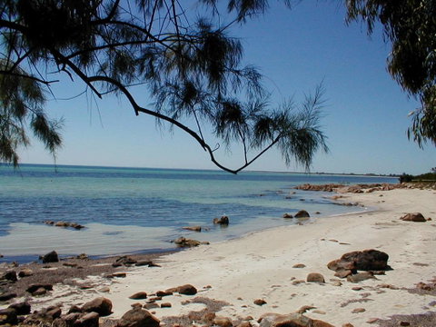 Purple Patch - Broome Tourism 1