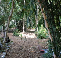 Rainforest Water Front River Shack Secluded. - Broome Tourism