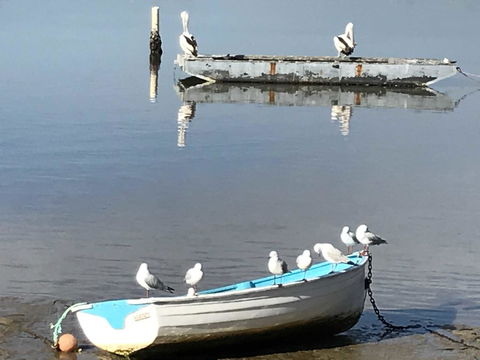 Reflections On Merimbula Lake - Broome Tourism 2
