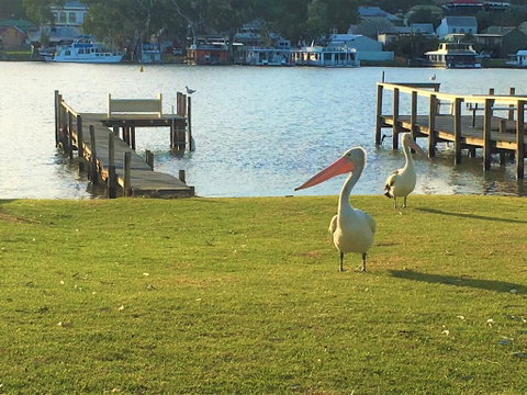 Riverfront Getaway - Mannum - Broome Tourism 0