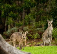 Secura Lifestyle Countryside Kalaru - Broome Tourism