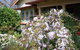Shelton-Lea Bed & Breakfast - thumb 0