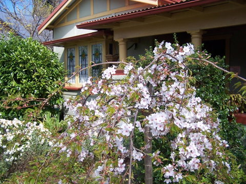 Shelton-Lea Bed & Breakfast - Broome Tourism 0