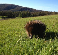 Silver Ridge Retreat - Broome Tourism