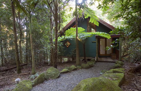 Springbrook Lyrebird Retreat - Broome Tourism 1