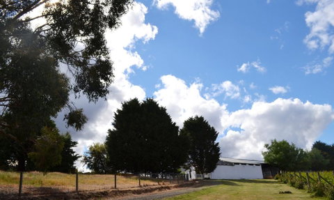 Springhill Winery - Broome Tourism 2