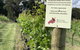 Springhill Winery - thumb 3