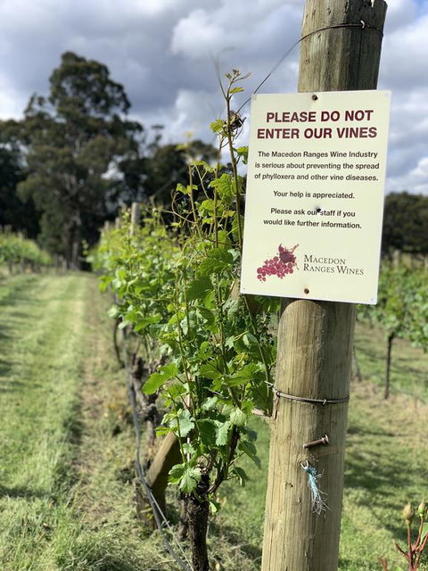 Springhill Winery - Broome Tourism 3