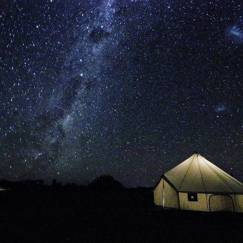Starfields Luxury Camping - Broome Tourism 3