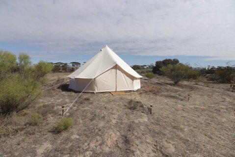 Starfields Luxury Camping - Broome Tourism 1