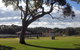 Sussex Shores - thumb 1