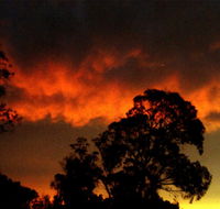 Taits Place Vineyard B  B - Broome Tourism