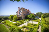 Talits Vineyard Estate
