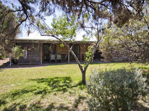 Tea Tree - Broome Tourism 1