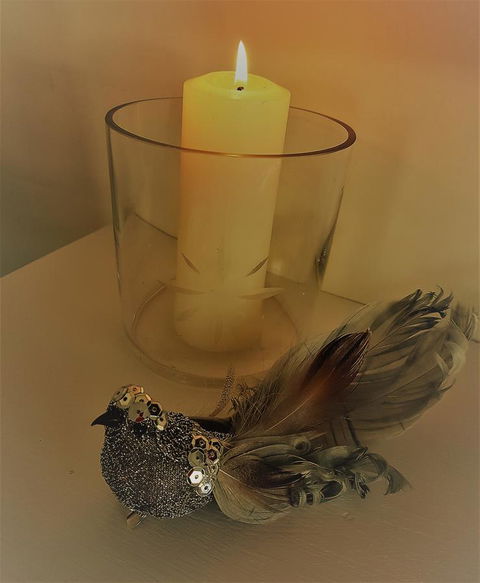 Birch Lane - Broome Tourism 26