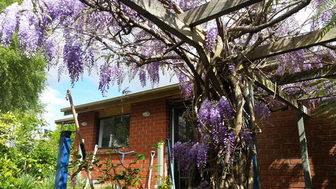 Birch Lane - Broome Tourism 42