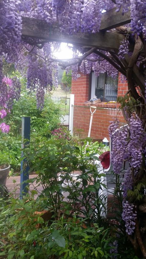 Birch Lane - Broome Tourism 41