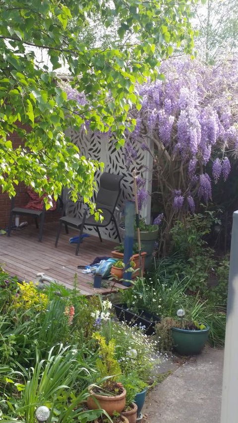 Birch Lane - Broome Tourism 44