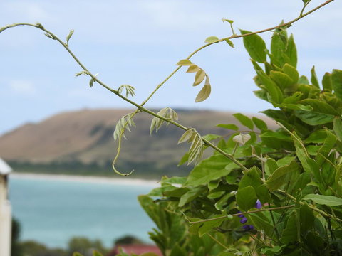 Ellie\'s Cottages - Broome Tourism 3