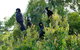 Eagles Rise Tasmania - thumb 10