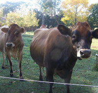 Drumreagh Bed  Breakfast Cabins - Broome Tourism