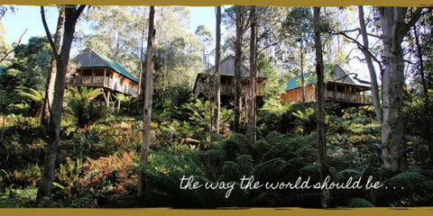 Lemonthyme Wilderness Retreat - Broome Tourism 20
